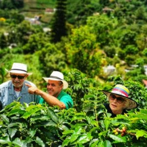 Coffee Plantation Tour in Jardin