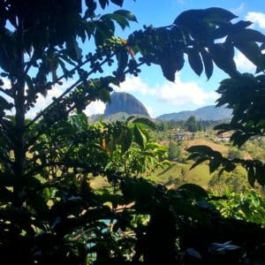 Guatape and avocado farm tour