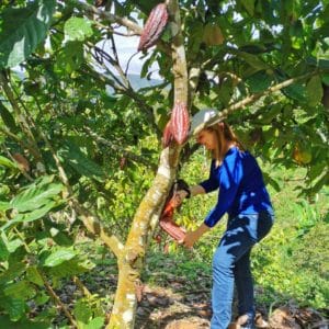 Coffee and Chocolate Tour