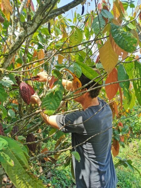Chocolate Tour in Medellin
