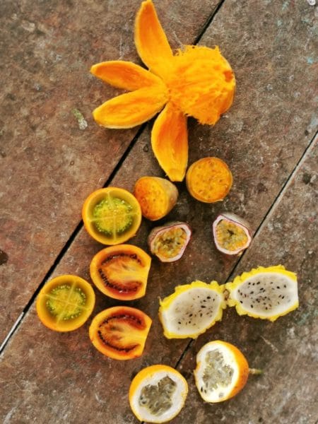 exotic fruit tasting