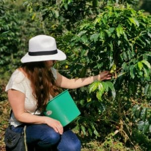 coffee tour and atvs