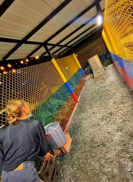 Graffiti tour and Tejo, Comuna 13 and Tejo in Medellin