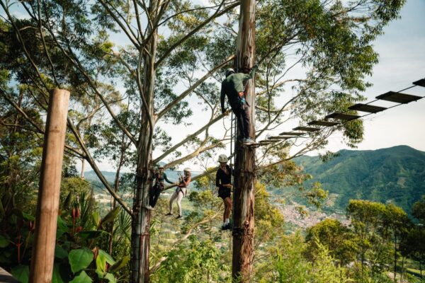 Tree climbing tour in medellin